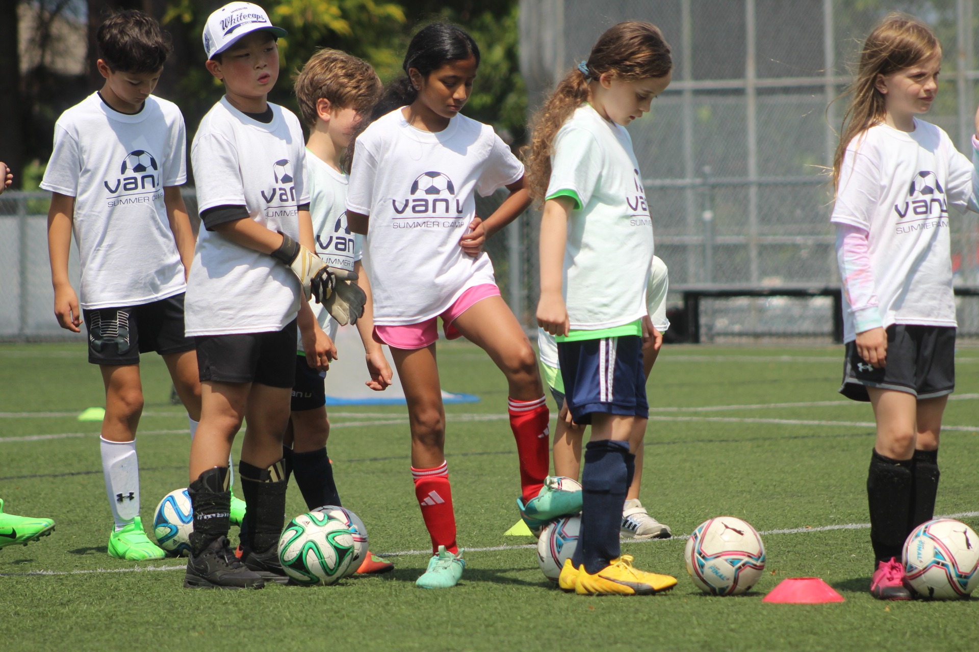 July 2024 Newsletter